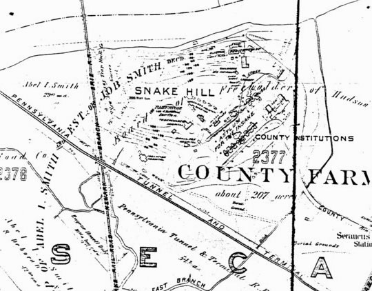 Snake Hill Map