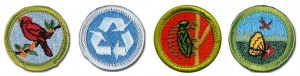 MB_patches